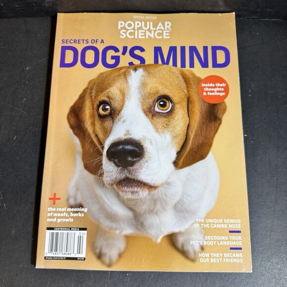 Dog Media Bundle [Book 284] - Picture 6 of 8